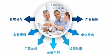 咨詢服務行業一體化管理解決方案